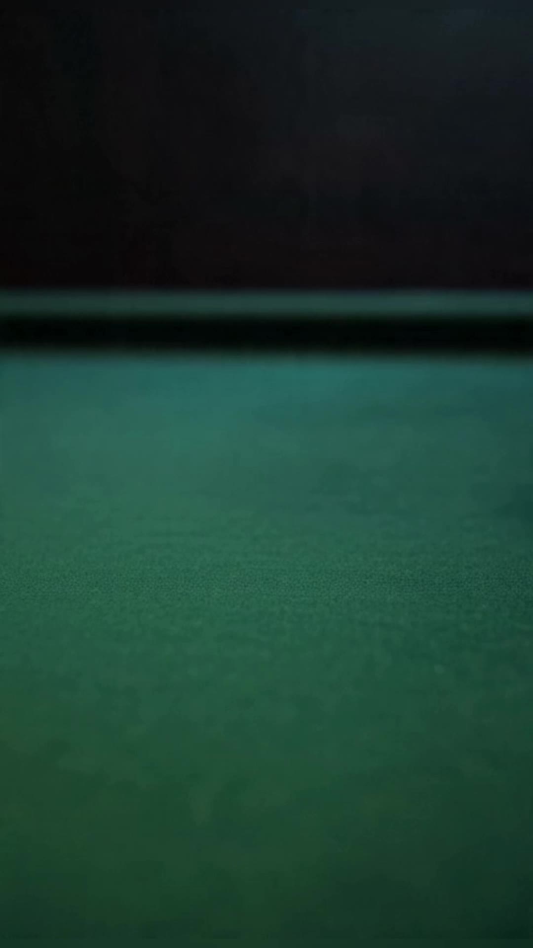 Surrender to the Silver Fox: The Master's Contract — Episode 1