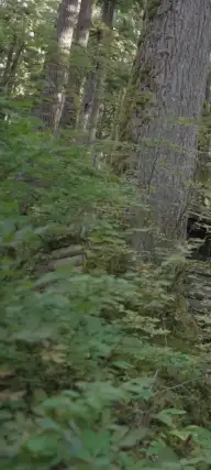 Triangle pécheur avec les jumeaux d'Alpha — Episode 3