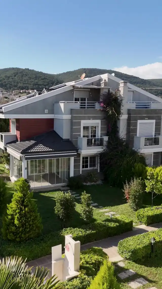 My Sunset Love After with the Billionaire CEO — Episode 11