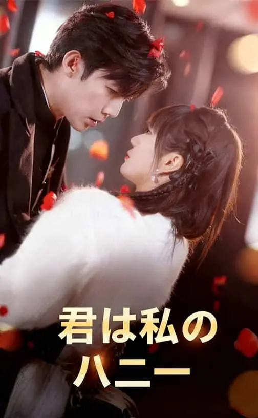 君は私のハニー Poster