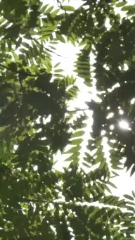 O Ciúmes de Mr. Brayden — Episódio 2