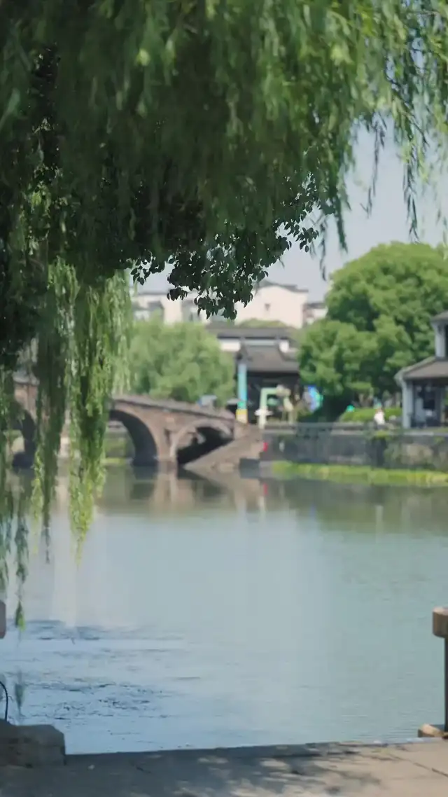 国民的旦那様をお持ち帰り — 第4話