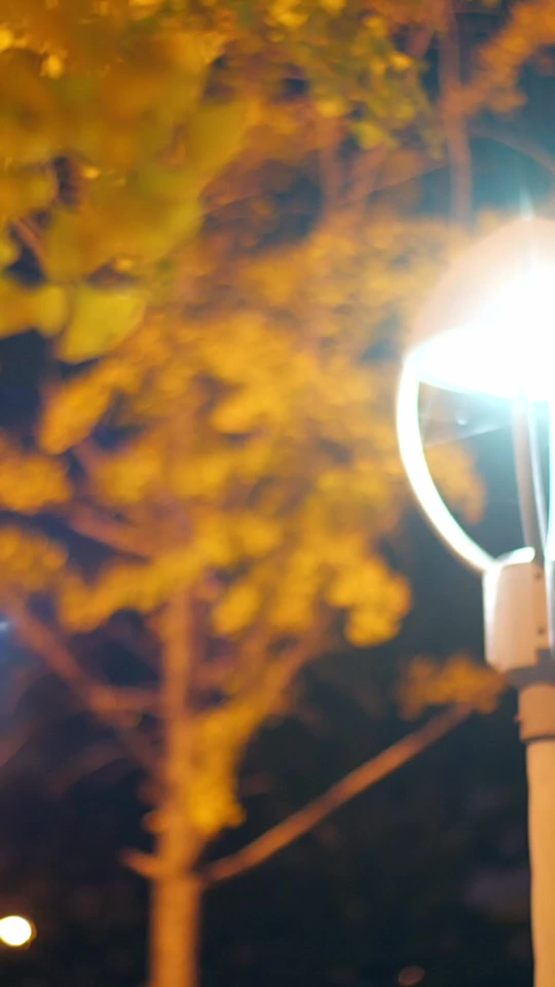 Her Silent Brilliance EP 44